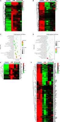 Estrogen-Related Receptor γ Agonist DY131 Ameliorates Lipopolysaccharide-Induced Acute Liver Injury